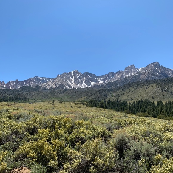 Meet your Posher, Nora - Picture 1 of 1